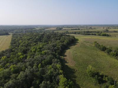 240 acre CRP Farm For Sale Clarke County Iowa - image 28