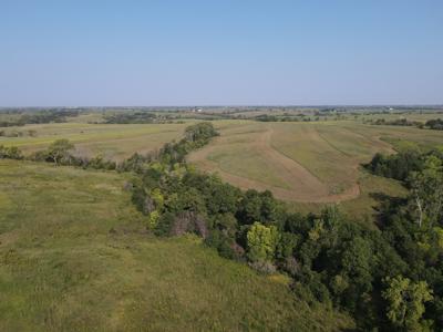 240 acre CRP Farm For Sale Clarke County Iowa - image 40