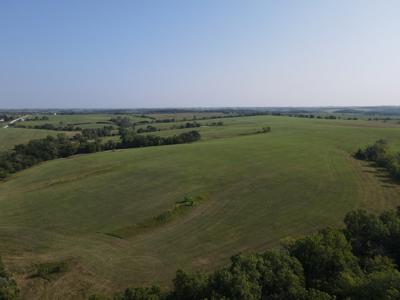 240 acre CRP Farm For Sale Clarke County Iowa - image 15