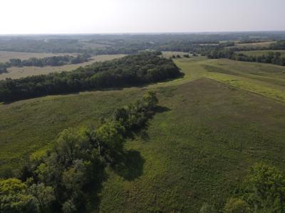 240 acre CRP Farm For Sale Clarke County Iowa - image 26