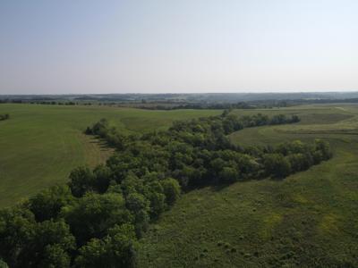 240 acre CRP Farm For Sale Clarke County Iowa - image 14