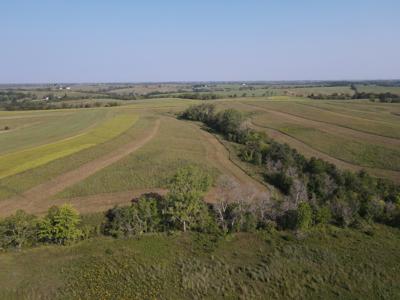 240 acre CRP Farm For Sale Clarke County Iowa - image 41