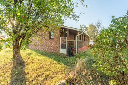 House in Town in Alton Missouri - image 6