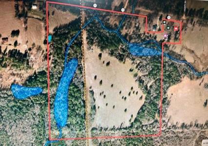 East Texas Farm For Sale - image 5