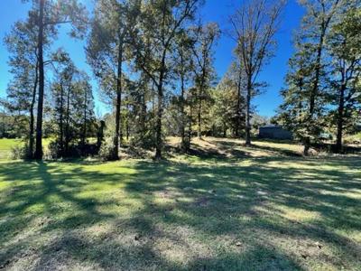 East Texas Farm For Sale - image 7