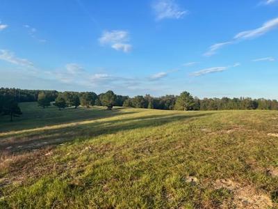 East Texas Farm For Sale - image 3