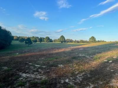 East Texas Farm For Sale - image 4