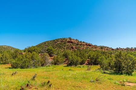 67 Acres In Canon City Colorado Bordering Blm For 4265' - image 15