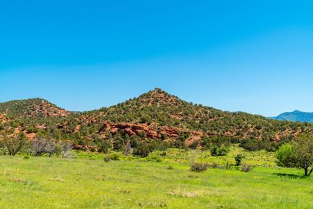 67 Acres In Canon City Colorado Bordering Blm For 4265' - image 4