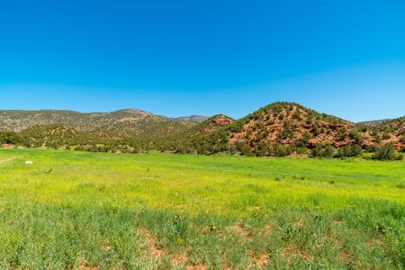 67 Acres In Canon City Colorado Bordering Blm For 4265' - image 5