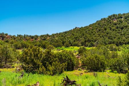 67 Acres In Canon City Colorado Bordering Blm For 4265' - image 16