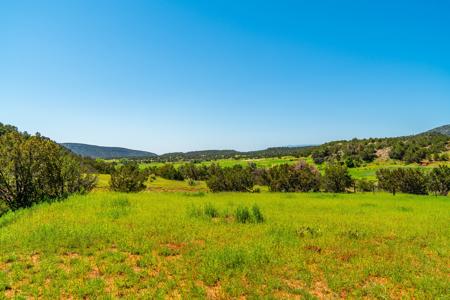 67 Acres In Canon City Colorado Bordering Blm For 4265' - image 10