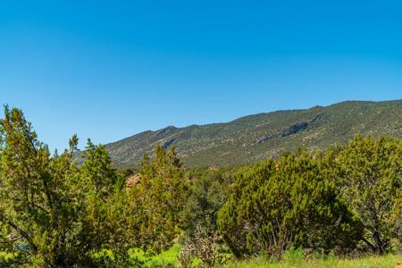 67 Acres In Canon City Colorado Bordering Blm For 4265' - image 12