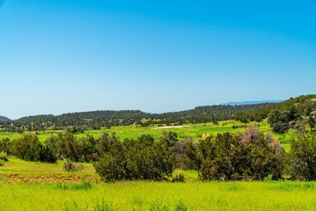 67 Acres In Canon City Colorado Bordering Blm For 4265' - image 11