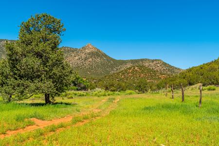 67 Acres In Canon City Colorado Bordering Blm For 4265' - image 8