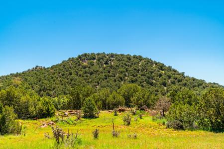 67 Acres In Canon City Colorado Bordering Blm For 4265' - image 14