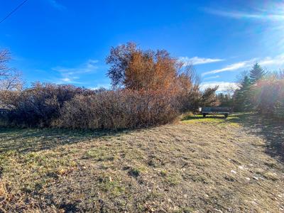 Malta City Lot for Sale Mature Trees Street & Alley Access - image 7