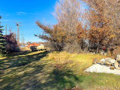 Malta City Lot for Sale Mature Trees Street & Alley Access - image 4