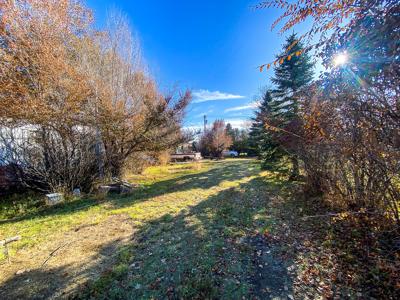 Malta City Lot for Sale Mature Trees Street & Alley Access - image 12