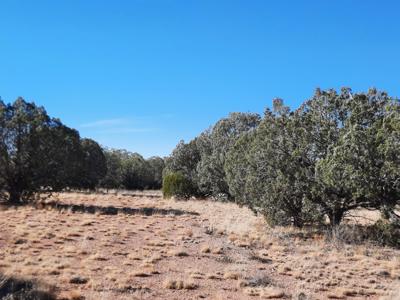 Norther AZ off grid 20 acre parcel available - image 7