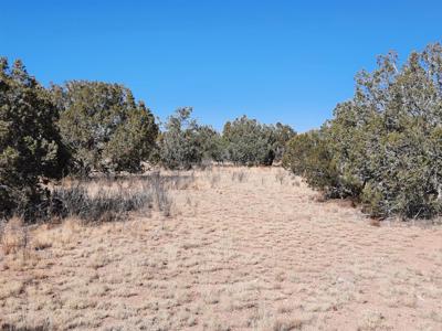 Norther AZ off grid 20 acre parcel available - image 11