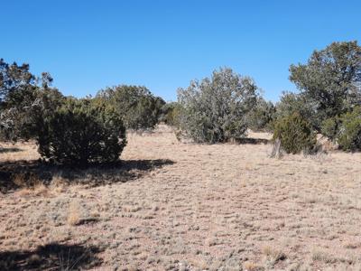 Norther AZ off grid 20 acre parcel available - image 9