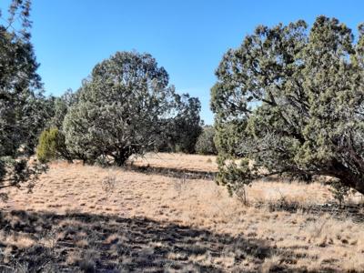 Norther AZ off grid 20 acre parcel available - image 1