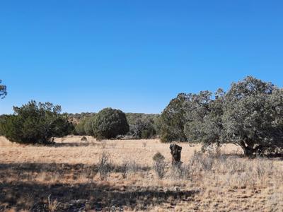 Norther AZ off grid 20 acre parcel available - image 10