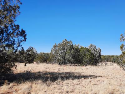 Norther AZ off grid 20 acre parcel available - image 6