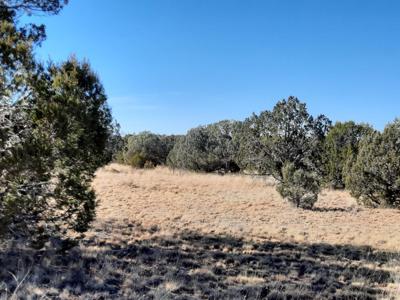 Norther AZ off grid 20 acre parcel available - image 4