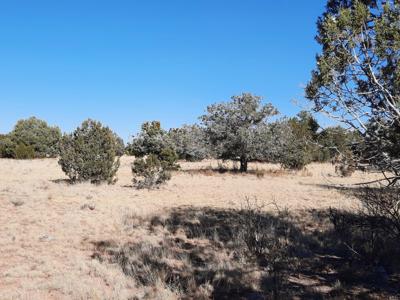 Norther AZ off grid 20 acre parcel available - image 8