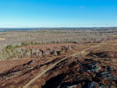 Expansive 695± Acre Property in Meddybemps, Maine - image 4