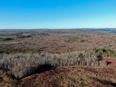 Expansive 695± Acre Property in Meddybemps, Maine - image 3