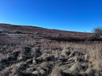 Expansive 695± Acre Property in Meddybemps, Maine - image 17