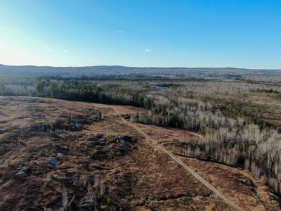 Expansive 695± Acre Property in Meddybemps, Maine - image 2