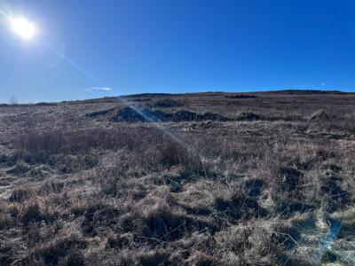 Expansive 695± Acre Property in Meddybemps, Maine - image 16