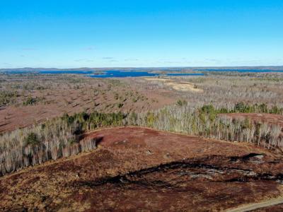 Expansive 695± Acre Property in Meddybemps, Maine - image 1