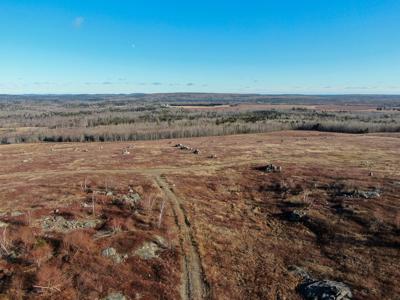 Expansive 695± Acre Property in Meddybemps, Maine - image 5