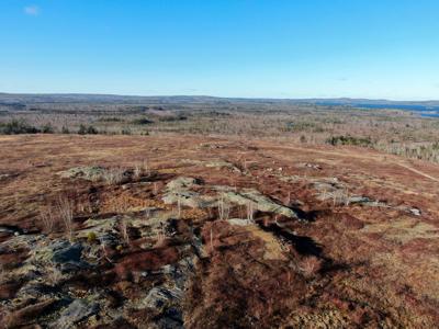 Expansive 695± Acre Property in Meddybemps, Maine - image 7