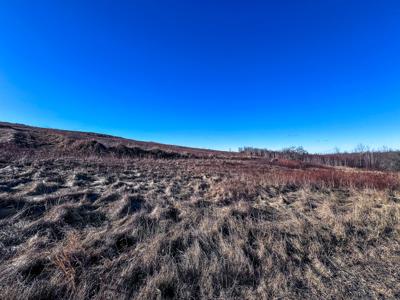 Expansive 695± Acre Property in Meddybemps, Maine - image 9