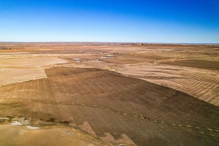 Central Montana Farm Land For Sale - image 7