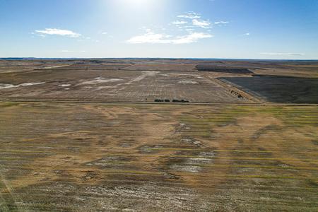 Central Montana Farm Land For Sale - image 14