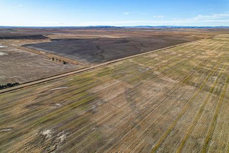 Central Montana Farm Land For Sale - image 16