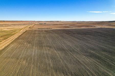 Central Montana Farm Land For Sale - image 3