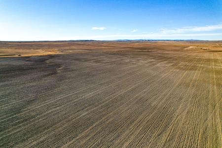 Central Montana Farm Land For Sale - image 2