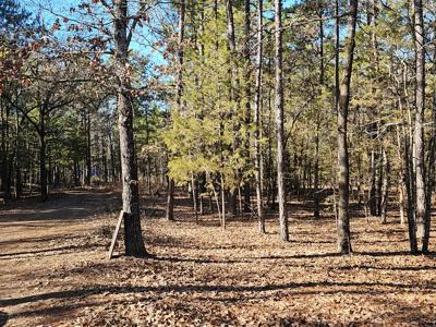 Southeasthern Oklahoma Wister Lake Cabin For Sale - image 4