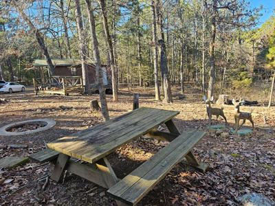 Southeasthern Oklahoma Wister Lake Cabin For Sale - image 25