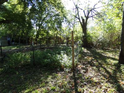 Early Victorian, American Farmhouse For Sale Blossom TX - image 3