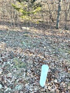 Land for Sale in Steelville, MO - image 13