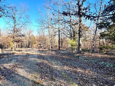 Land for Sale in Steelville, MO - image 16